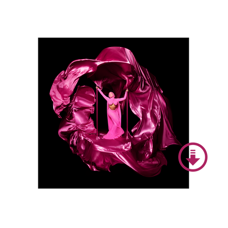 Pink Friday 2 (D2C Version 1) (Clean) Digital Album